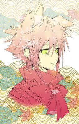Favourite male character with animal ears | Anime Amino