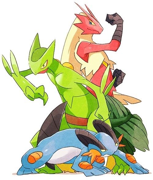 Pokemon Generation 3 Starters Anime Amino