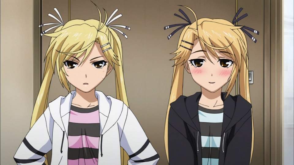 Anime identical twins