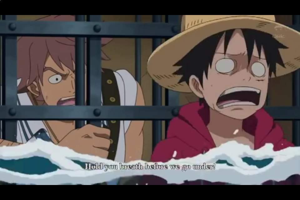 One Piece Funny Moments 😆💕 | Anime Amino