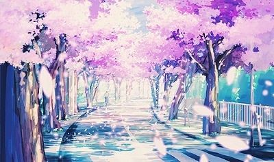 Cherry Blossoms in anime | Anime Amino