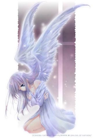 Anime Angels Anime Amino