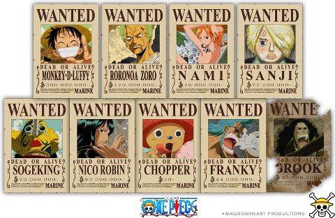 One Piece Straw Hat Pirates Wiki Anime Amino