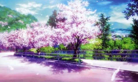 The Cherry Blossom Hill On The Way To School Wiki Anime Amino The Cherry Blossom Hill On The Way To School Wiki Anime Amino