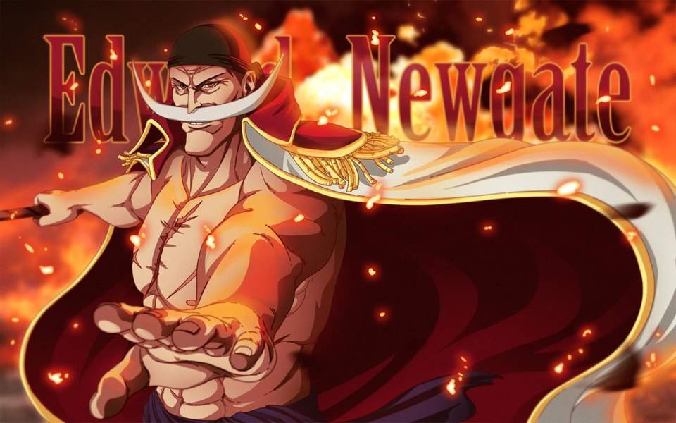 Whitebeard Wiki Anime Amino