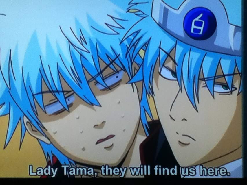  Double  the Gintoki  s Double  the laughter Anime Amino