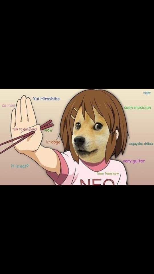 So Doge. Cuteness! | Anime Amino