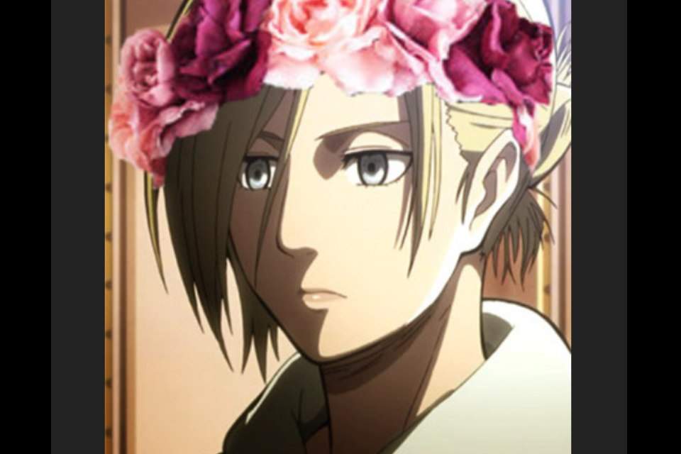 AOT flower crowns Anime Amino
