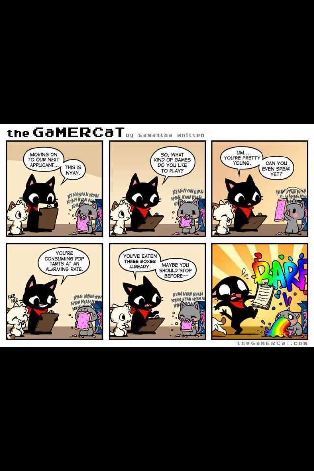 GaMERCaT | Wiki | Video Games Amino