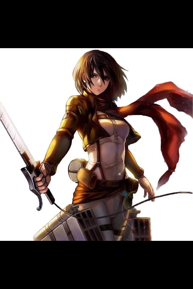 Attack On Titans | Wiki | Anime Amino