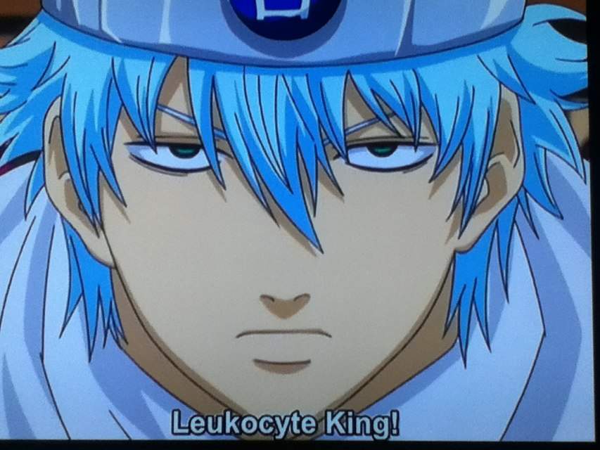  Double  the Gintoki  s Double  the laughter Anime Amino