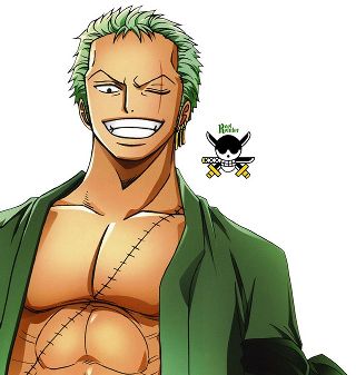 Roronoa Zoro | Wiki | Anime Amino