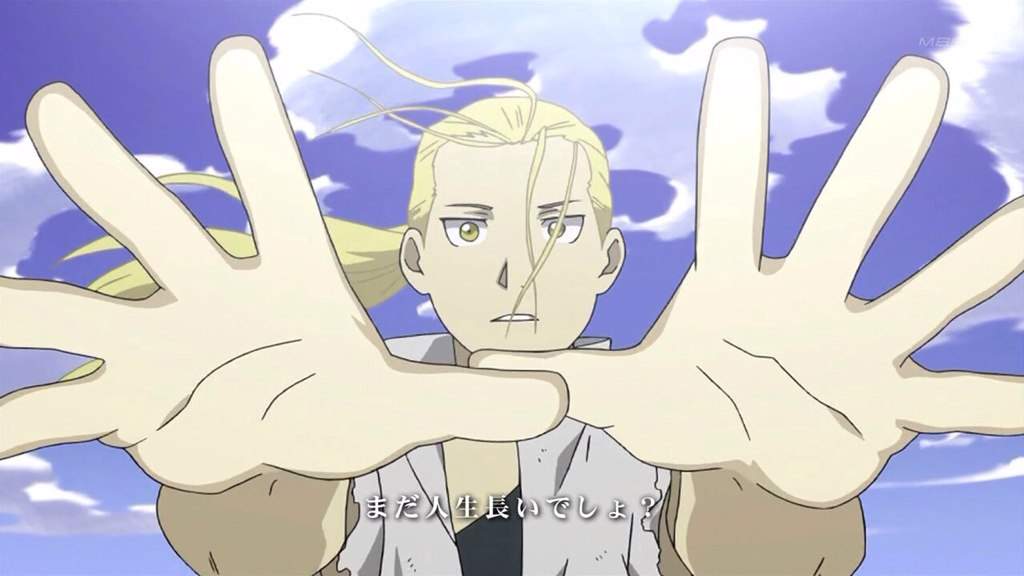 Fullmetal Alchemist Brotherhood | Wiki | Anime Amino