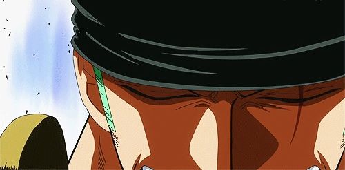 Roronoa Zoro | Wiki | Anime Amino