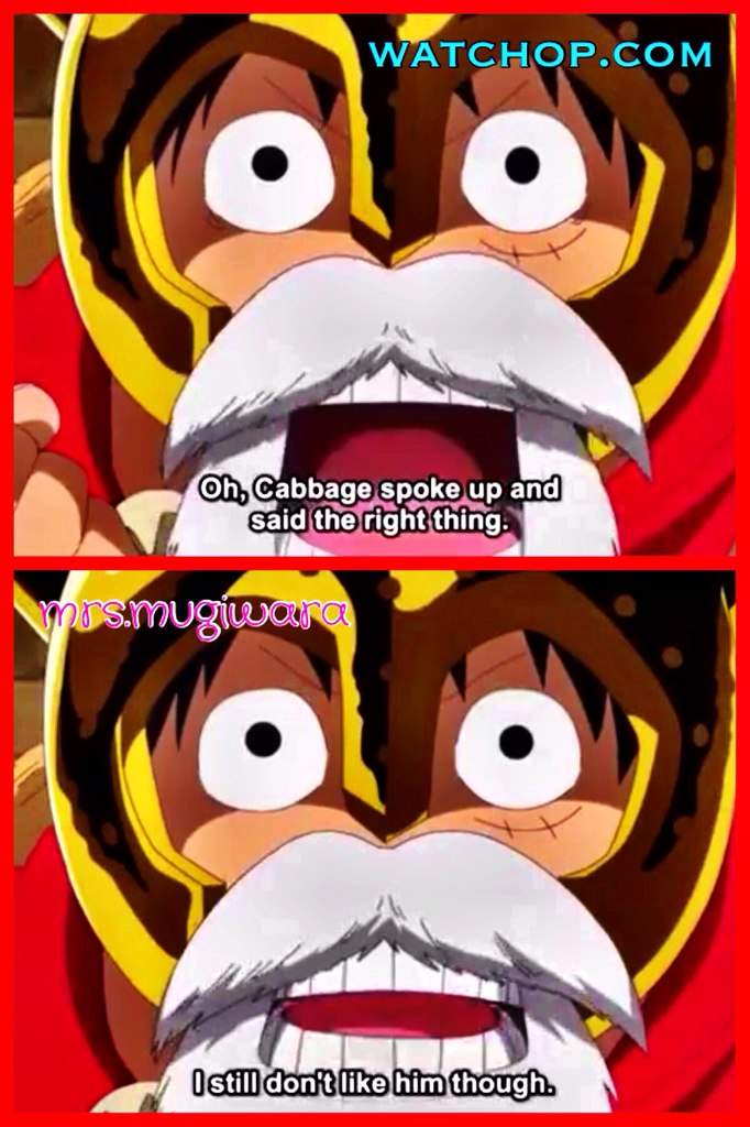 One Piece Online Episodes Watchop