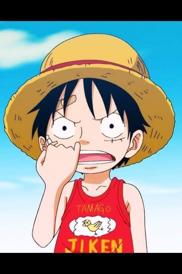 Funny one piece momments | Anime Amino