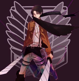 Levi Ackerman | Wiki | Anime Amino