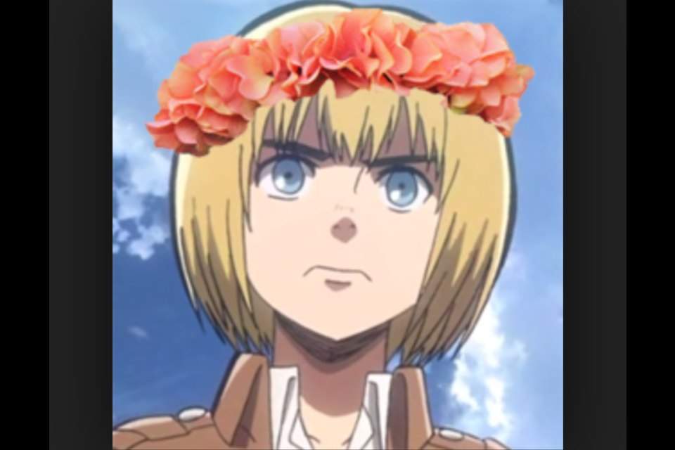 AOT flower crowns Anime Amino