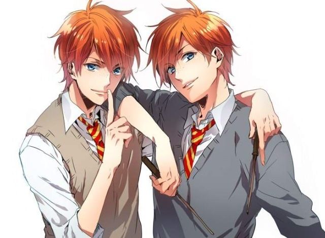 anime twins  wiki  anime amino