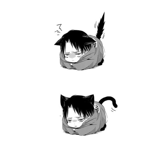 levi chibi cat