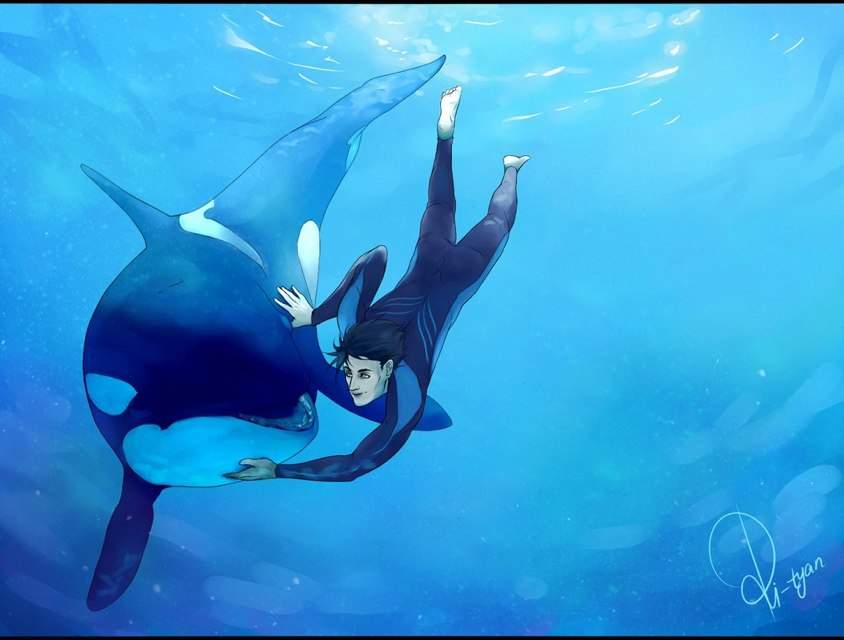 Anime Orca | Wiki | Anime Amino