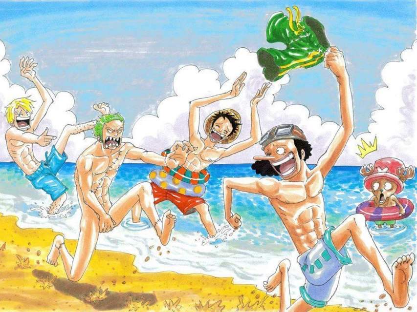 One Piece Anime Amino