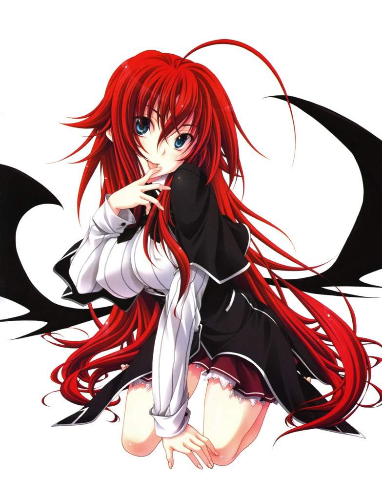 リアス グレモリ Rias Gremory Wiki Anime Amino