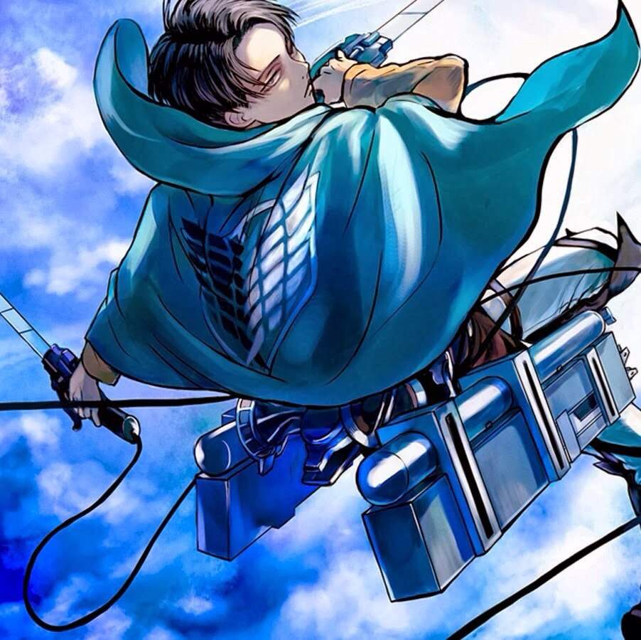 Levi | Wiki | Anime Amino