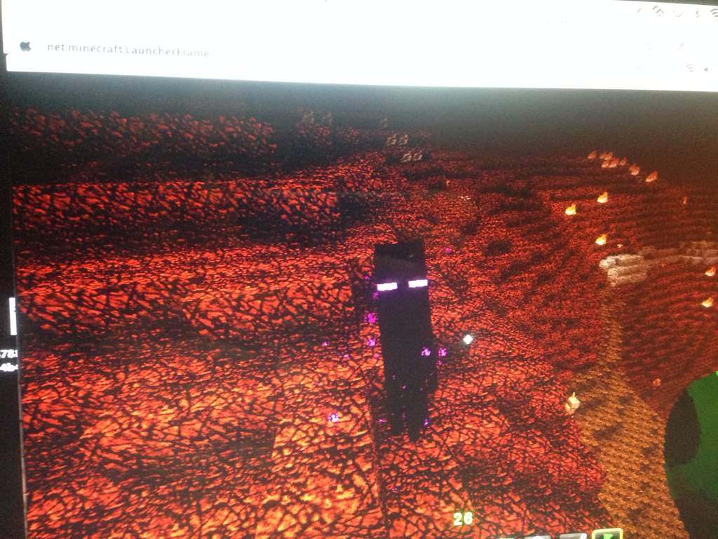 Enderman in the nether | Minecraft Amino