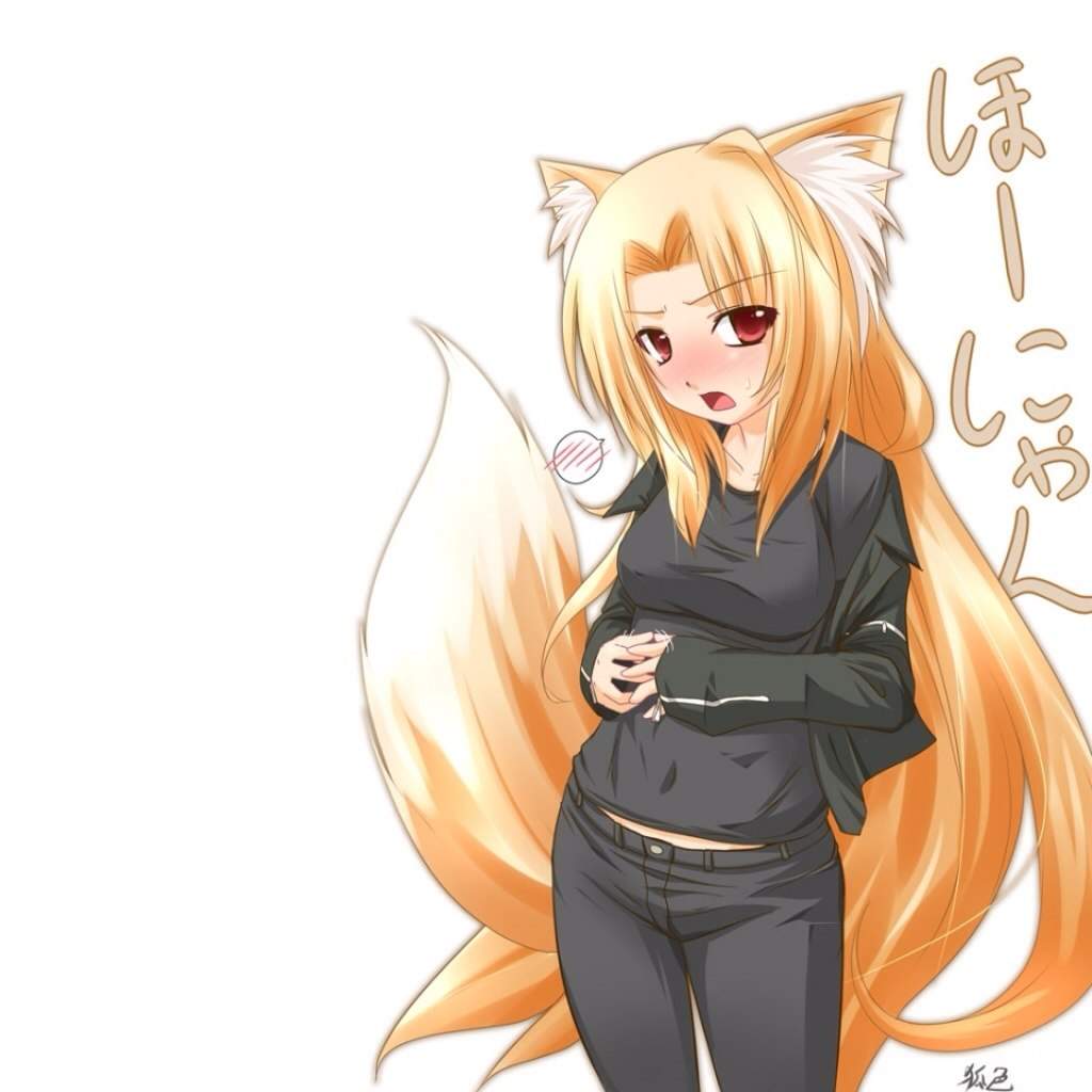 Fox/Wolf Girls | Wiki | Anime Amino