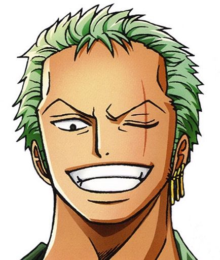 Zoro | Wiki | Anime Amino