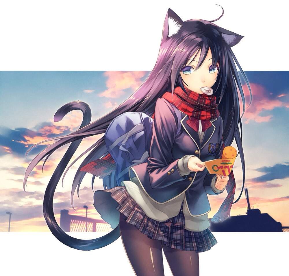 Nekomimi😺😻😼 Wiki Anime Amino 3087