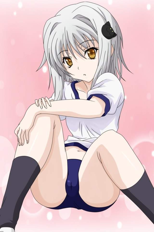 Actually she kinda could be koneko's sister from Highschool DXD. 