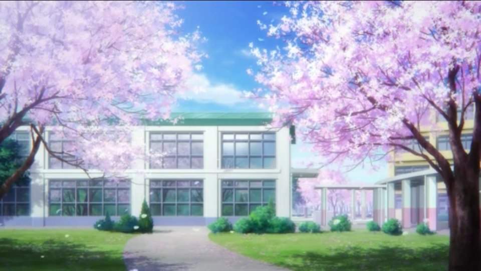 The cherry blossom season | Anime Amino