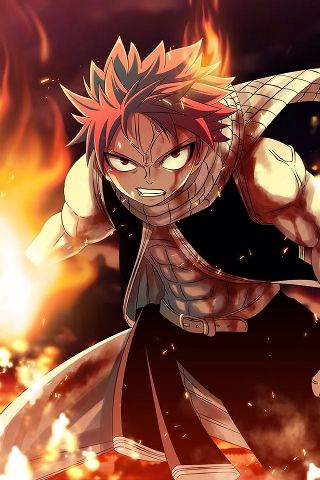 Fairy Tail | Wiki | Anime Amino