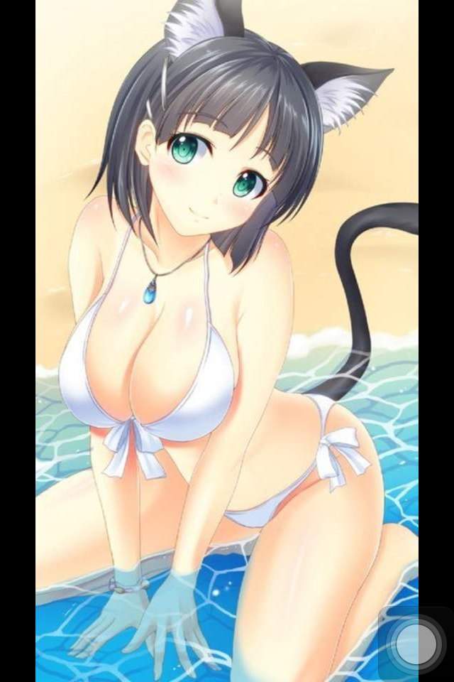 Ecchi Anime/neko/big Boobs/ Panties/ Big But 1 | Wiki | Anime Amino