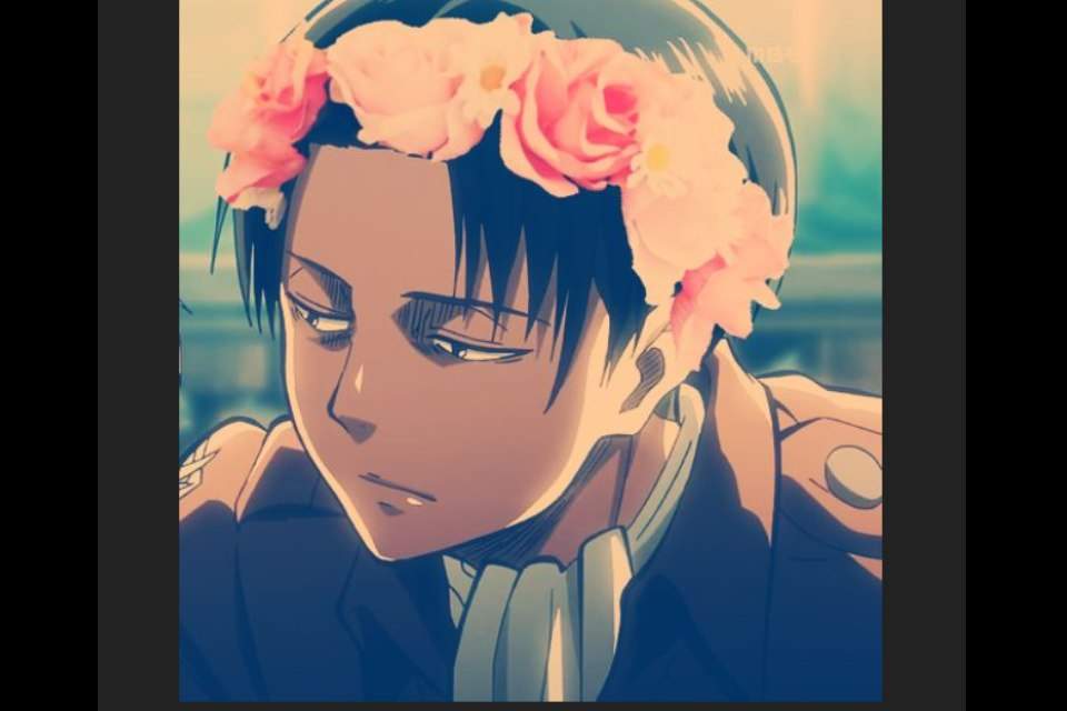 AOT flower crowns Anime Amino