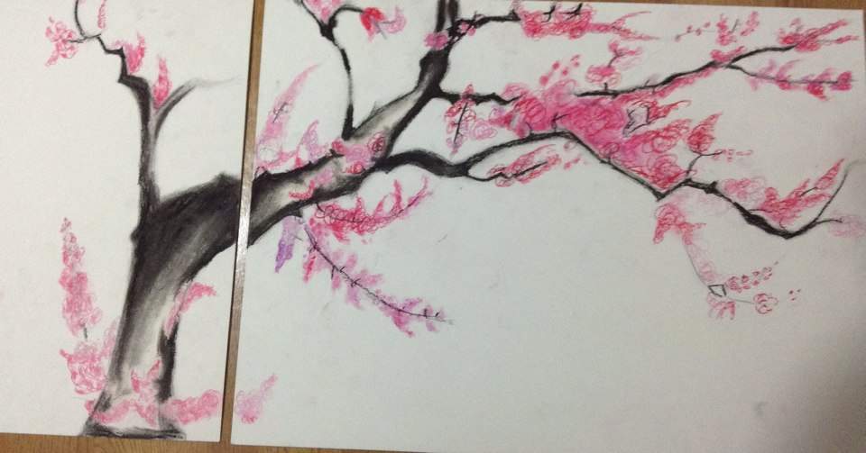 35+ Latest Anime Sakura Tree Anime Cherry Blossom Tree Drawing | The