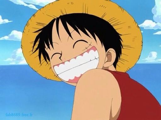 Mokey D. Luffy🍖 (number2) | Wiki | Anime Amino